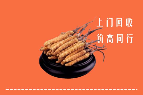 高价求购：白塔区回收散虫草