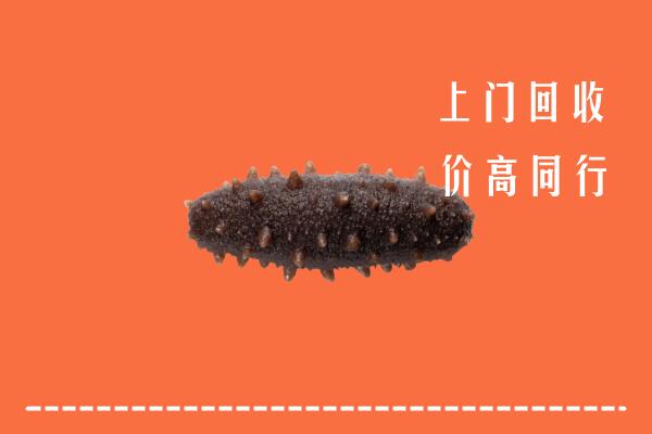 高价求购：白塔区回收海参