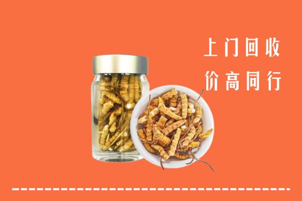 白塔区回收冬虫夏草